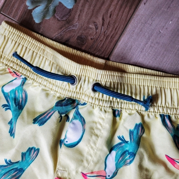 Rashguard And Swim Trunks 2pc Set By Carter's Child Of Mine Size 12m EUC - Picture 15 of 16
